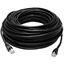 100FT CAT6 OUTDOOR CBL