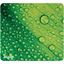 LEAF RAINDROP MOUSE PAD