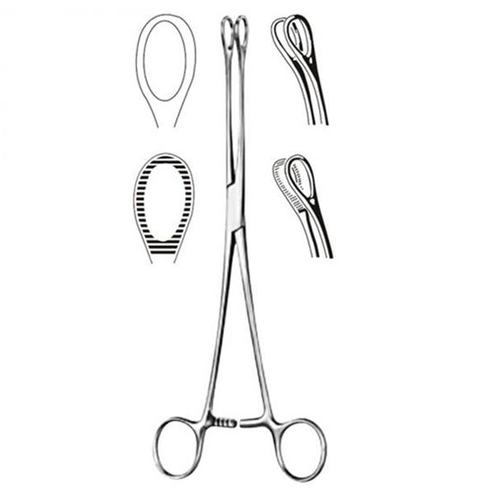 Foerster Sponge Forcep- 7  Serrated